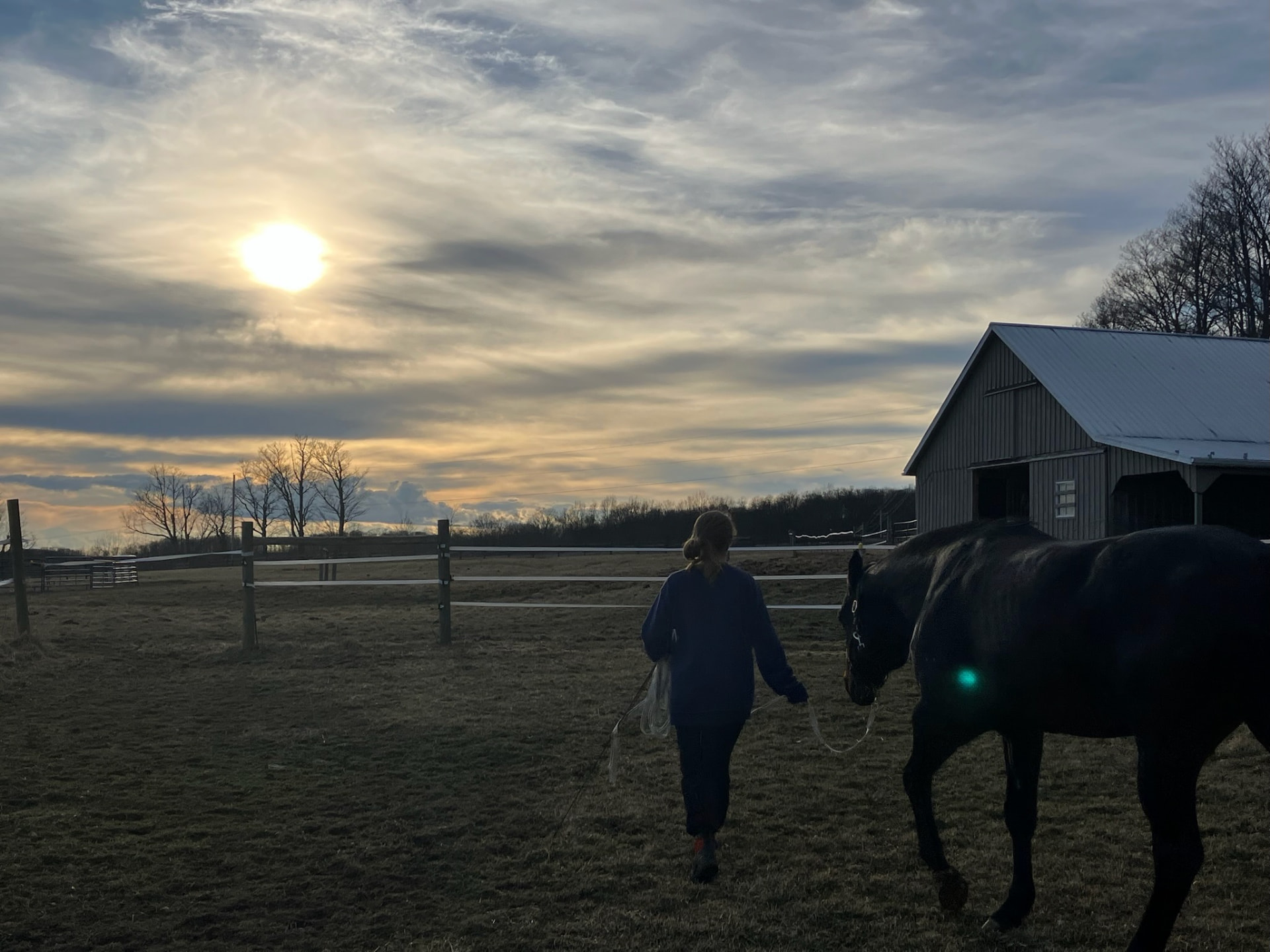 A volunteer leads horses toward the barn at sunset, with golden light breaking through clouds over the pasture at Leocor Farms